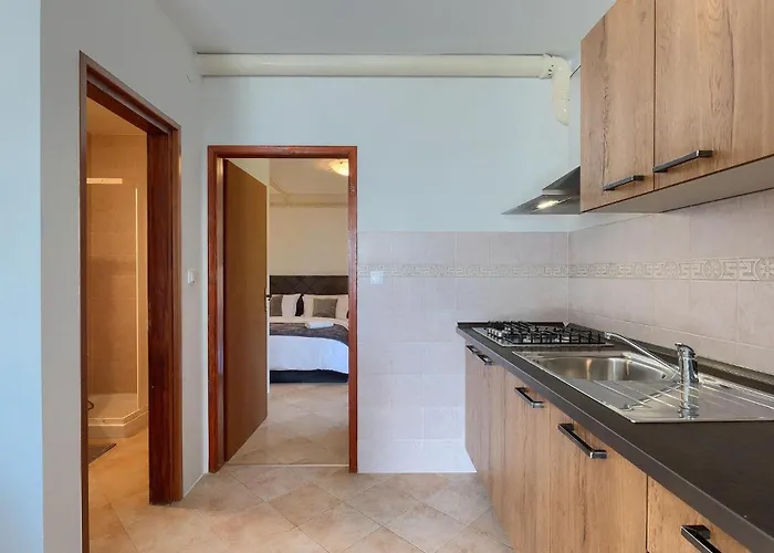 Travia Holiday home Veprinac