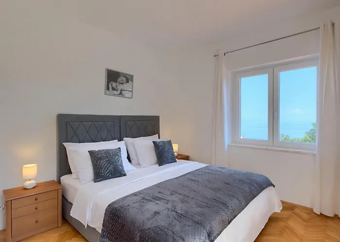 Travia Holiday home Veprinac